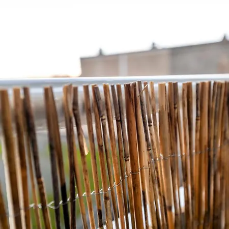 Palatium Al Duomo アパート *